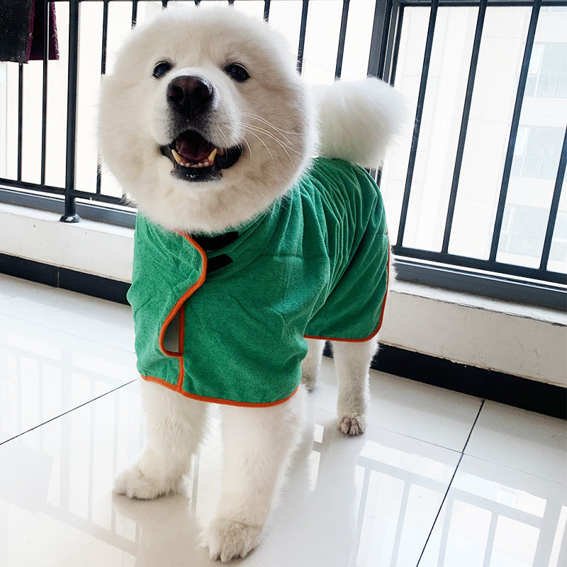 Samoyed in a green dog drying robe after a walk