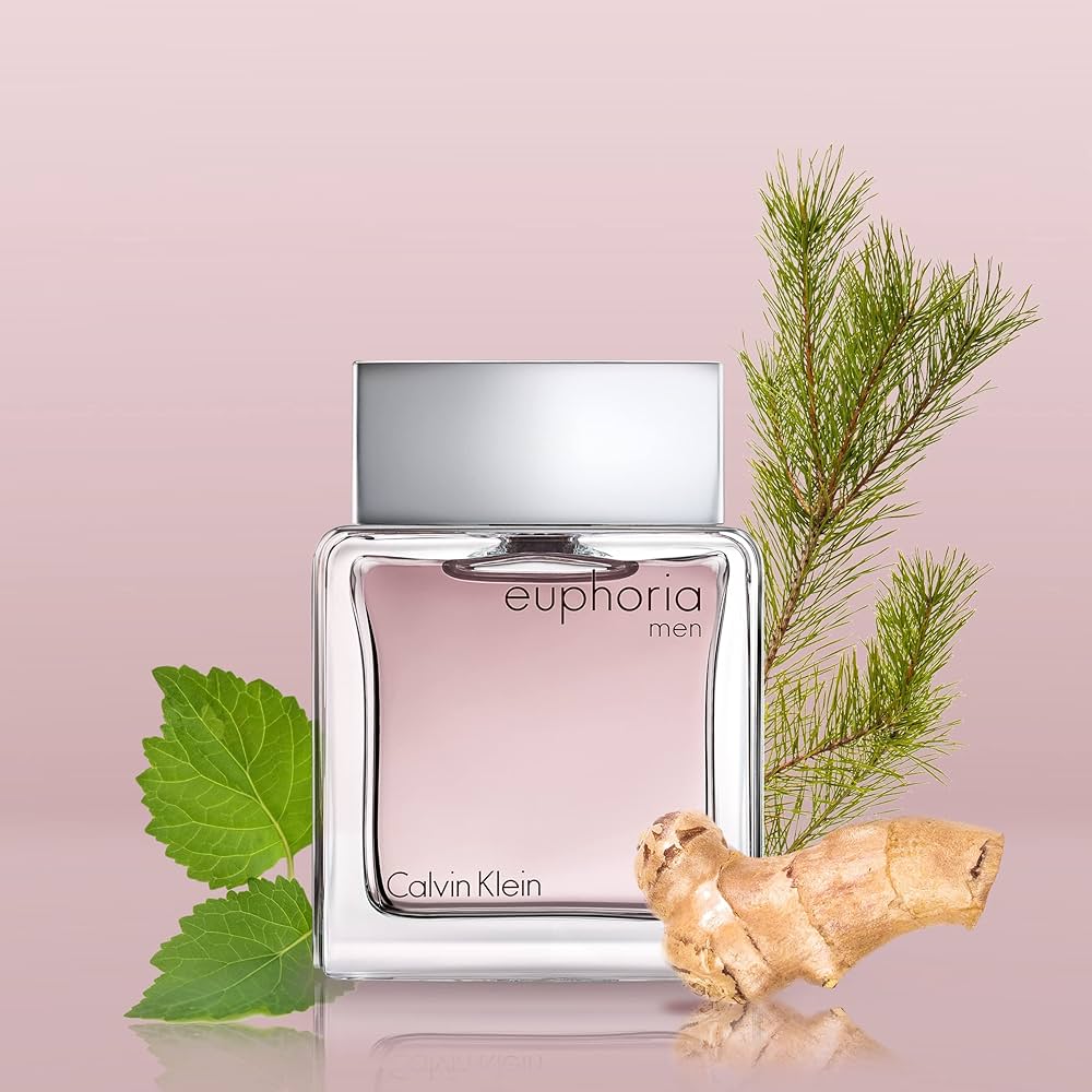 Calvin Klein Euphoria For Men EDT 100ml
