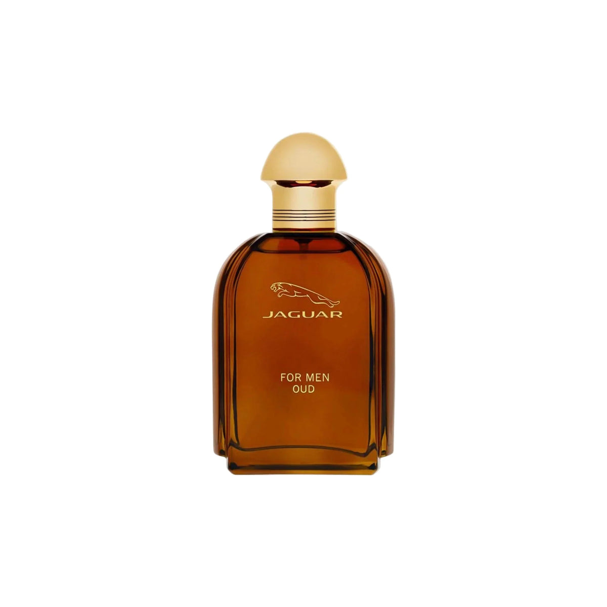 Jaguar Oud for men Eau de Parfum 100ml oud perfume bottle