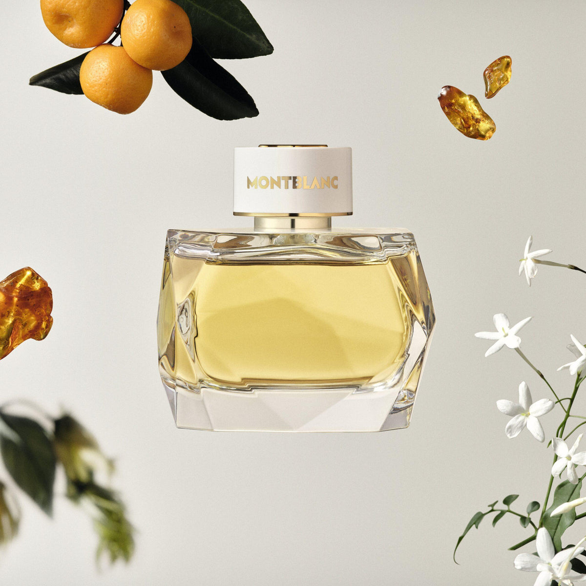 Mont Blanc Signature Absolue EDP 90ml